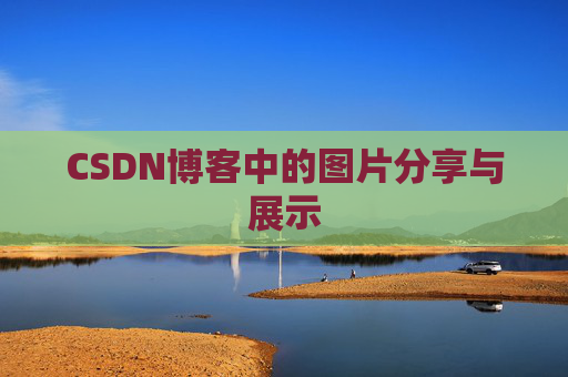CSDN博客中的图片分享与展示